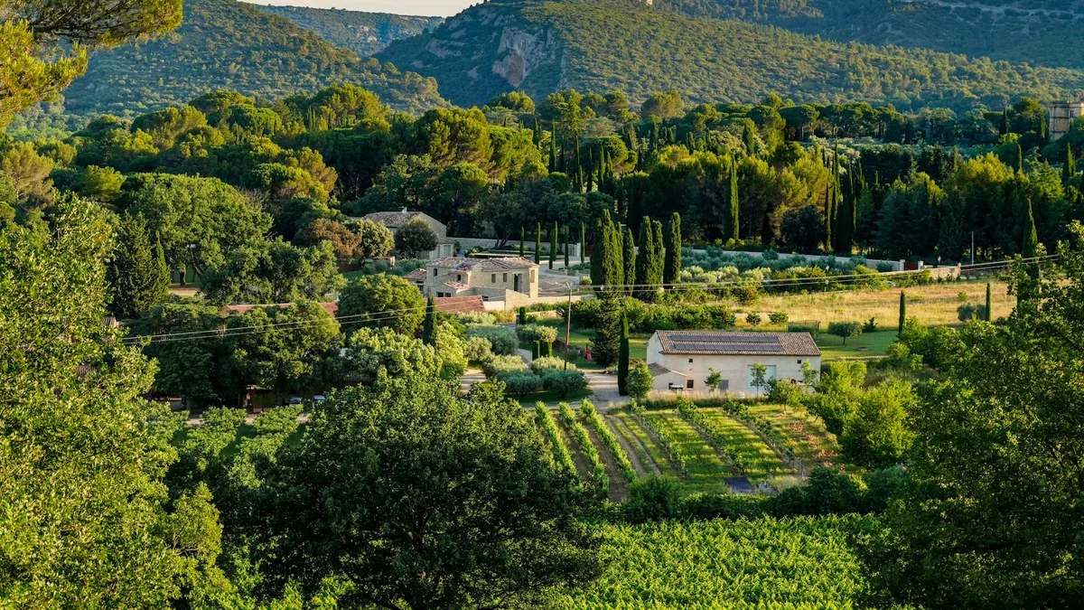 Mas, vignes et cyprès en Provence, illustration